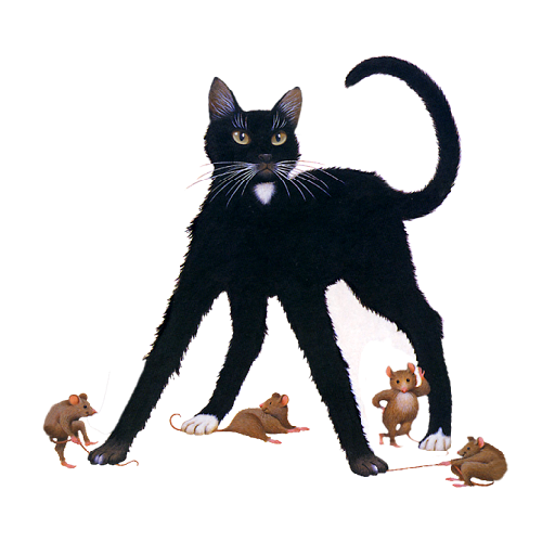 chat noir et souris
